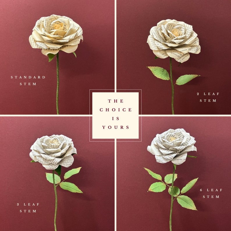 May include: Four paper roses with different stem lengths, each with a different number of leaves. The roses are white and made of paper. The text "The Choice Is Yours" is in the centre of the image.