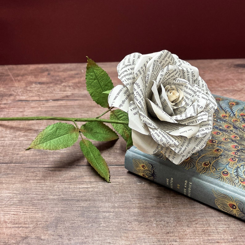 May include: A white paper rose crafted from the pages of a book, resting on a blue book featuring a peacock design. The book is titled "Pride and Prejudice" by Jane Austen.