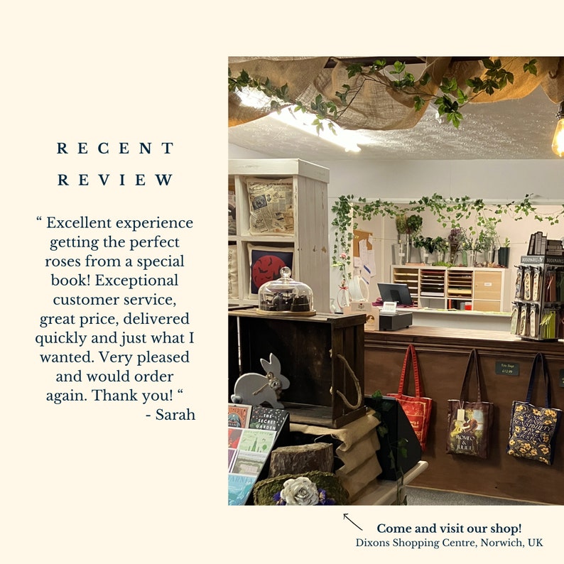 May include: A small shop with a wooden counter and shelves stocked with books and other items. The shop has a rustic, cosy atmosphere with greenery hanging from the ceiling. The text "Come and visit our shop! Dixons Shopping Centre, Norwich, UK" is visible in the image.