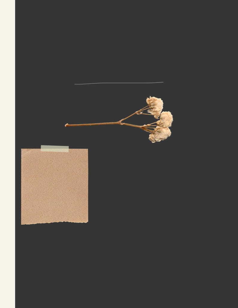 A5 Printable Planner Dividers 2026 | Black Background Dried Flower ...