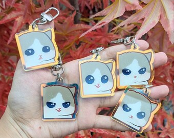 Hehe Cat Meme Blind Bag Holographic Keychains