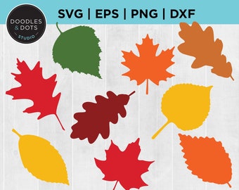 Fall Leaves svg, Fall Leaf svg, Fall Leaves bundle, Autumn Leaves cut files for Cricut, Glowforge, Harvest svg, Autumn Leaf Bundle, Lasercut