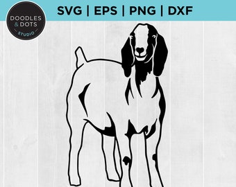 Show Goat SVG, Boer Goat SVG for Cricut, Stock Show, Livestock SVG, Goat svg, Goat silhouette, County Fair, State Fair Livestock show svg