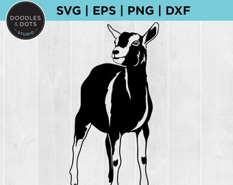 Show Goat svg, Goat svg, Stock Show svg for Cricut, Livestock SVG, Goat Farm, Agriculture Fair animals, Goat silhouette instant download svg
