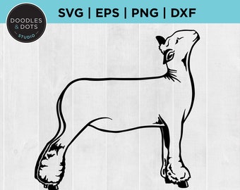 Show Lamb SVG, Lamb SVG, Market Lamb Silhouette, Suffolk Lamb png, Hampshire Lamb, Country Fair Lamb, Livestock Show svg, Show Sheep clipart