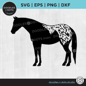 Appaloosa Paard SVG | Appy Horse | Spotted Horse clipart | Appaloosa svg gesneden bestand voor Cricut | Gevlekte Deken Appaloosa | Paardenras svg