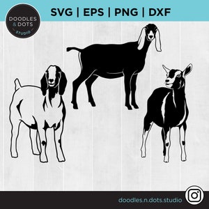 Show Goat svg, Nubian Goat svg, Boer goat, Stock Show svg for Cricut, Livestock, Goat Farm, Agriculture Fair animals, Goat silhouette bundle