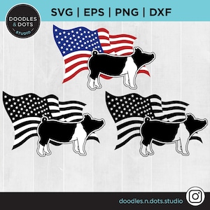 Mostra maiale in formato SVG, maiale in formato SVG, Mostra maiale sagoma in formato SVG, Stockshow in formato SVG, bestiame in formato SVG, Hog Farm, Mostra Stock in formato SVG, American Show Pig in formato SVG per Cricut