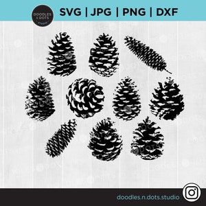 Pigna in formato SVG, Pigna in formato SVG, Cono dell'albero di Natale in formato SVG, ClipArt realistica della Pigna, File di taglio della Pigna per Cricut, Pacchetto silhouette del Pino Bianco