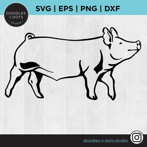 Mostra maiale SVG, maiale SVG, mostra Stock SVG, bestiame svg, Market Pig file di taglio per Cricut, Hog svg, County Fair, Pig Farm clipart, Pig Clipart