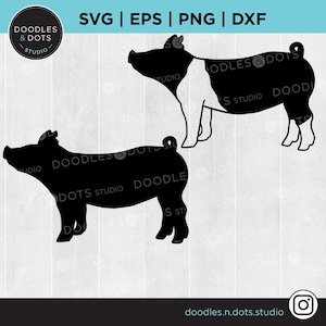 Mostra maiale SVG / Maiale SVG / Mostra Stock SVG / Bestiame svg / Hog Farm mostra animali / Maiale, sagome di scrofa / Fiera della contea / Mostra fiera statale