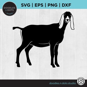 Toon geit SVG, Nubische geit SVG, Stock Show SVG voor Cricut, vee, geitenboerderij, landbouw eerlijke dieren, geit silhouet Instant Download