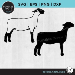Pokaż jagnięcinę SVG, jagnięcina SVG, sylwetka jagnięciny na rynku, jagnięcina Suffolk png, jagnięcina Hampshire, jagnięcina Country Fair, wystawa zwierząt gospodarskich svg, clipart wystaw owiec
