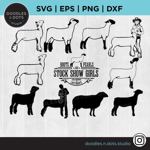 Montrer l'agneau Bundle SVG, SVG d'agneau, Silhouette d'agneau du marché, Stock Show svg, Show mouton svg, svg de spectacle de bétail, clipart mouton, bétail svg png