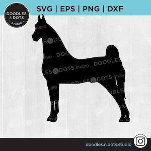 American Saddlebred SVG | 5-gangen Paard SVG | Kentucky Saddlebred | American Saddle Horse | American Saddler Horse ras | Cricut SVG