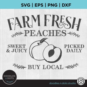 Pfirsich SVG | Farm Frische Pfirsiche SVG | Pfirsiche Druck | Sommer Pfirsich | Georgia Peach, Landhausstil | Bauernhaus Pfirsich Zeichen svg, Obst Clipart