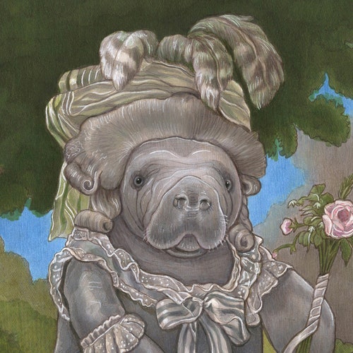 Manatee Antoinette