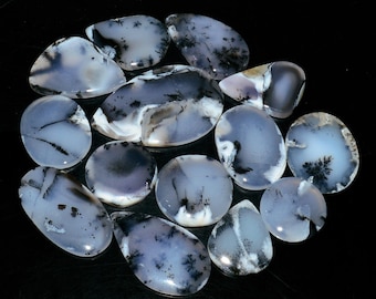14Pcs 390Cts Natural Dendrite Agate Loose Cabochon Gemstone lot For Jewelry Making and Crystal Healing 43X28  23X23mm #19220
