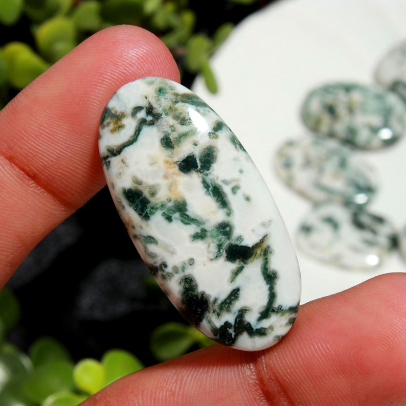11 Pcs 309Cts Natural Green Tree Agate Mix Shape Cabochon Loose Gemstone For Jewelry Making Wholesale Lots Size 33x26 21x11mm.