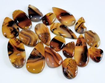 May include: A collection of polished agate gemstones in various shapes, including oval, teardrop, and irregular forms. The stones display a mix of warm colors, such as brown, amber, and cream, with intricate banding and patterns. The gemstones are arranged on a white surface.