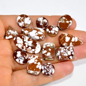 13Pcs 138Cts Natural Brown Wild Horse Jasper Cabochon Gemstone Lot Healing Gemstone Pendants Handmade Jewelry Supplies 25x11 10x10mm #15368