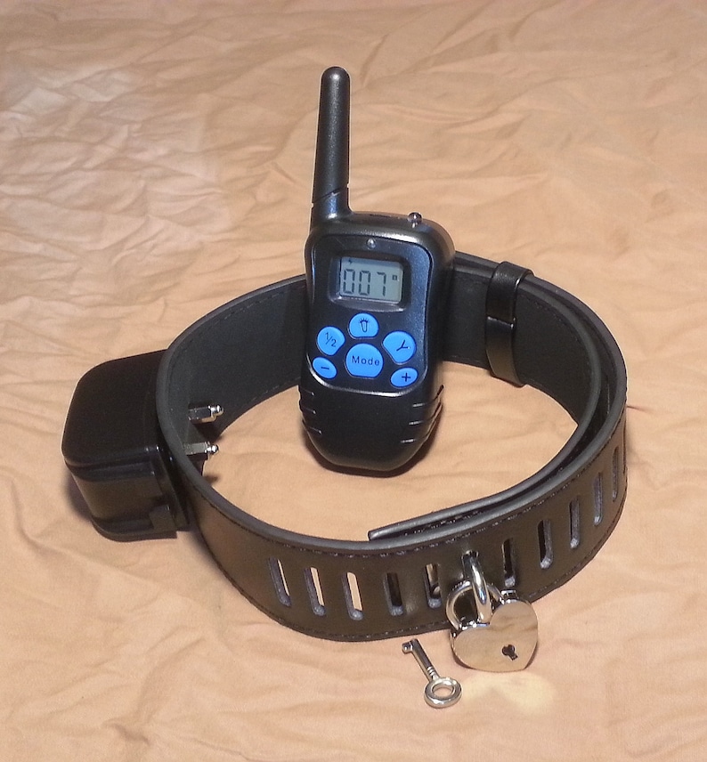 Electric remote shock locking training collar USB Rechargeable Etsy