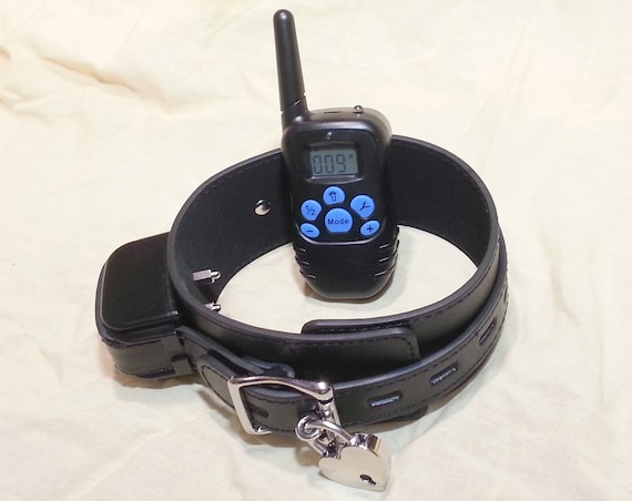 dog that dont shed a lot