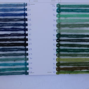 Pu&ograve; includere: Una cartella colori con campioni di filato in tonalit&agrave; di blu, verde e marrone. I campioni di filato sono numerati da 59 a 88.