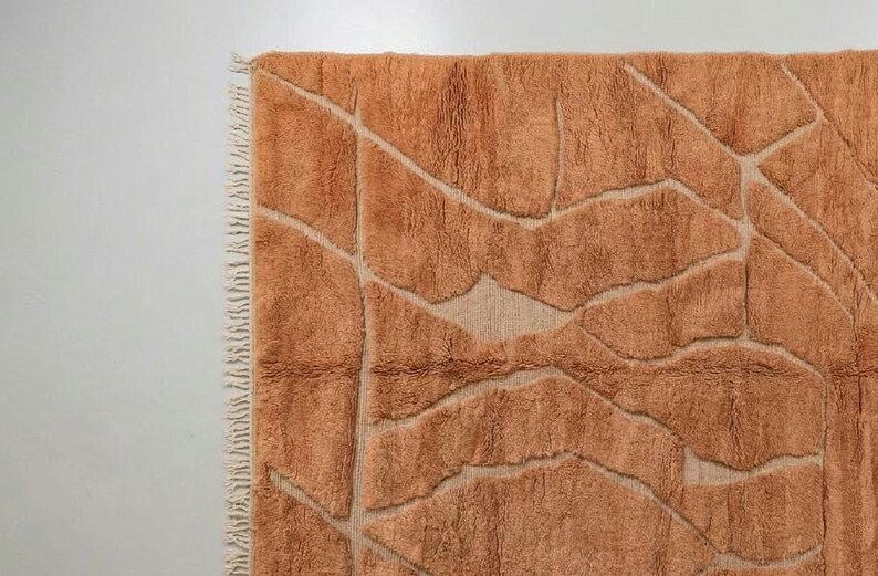 Warm Earth Terracotta Moroccan Rug - Burnt Orange beni ourain Carpet - Handmade 3D Lattice Wool Rug - Custom beni rug image 2
