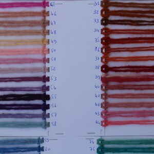 Pu&ograve; includere: Una cartella colori con campioni di filato in varie tonalit&agrave; di rosa, marrone, viola, blu e verde. I campioni di filato sono numerati da 31 a 75.