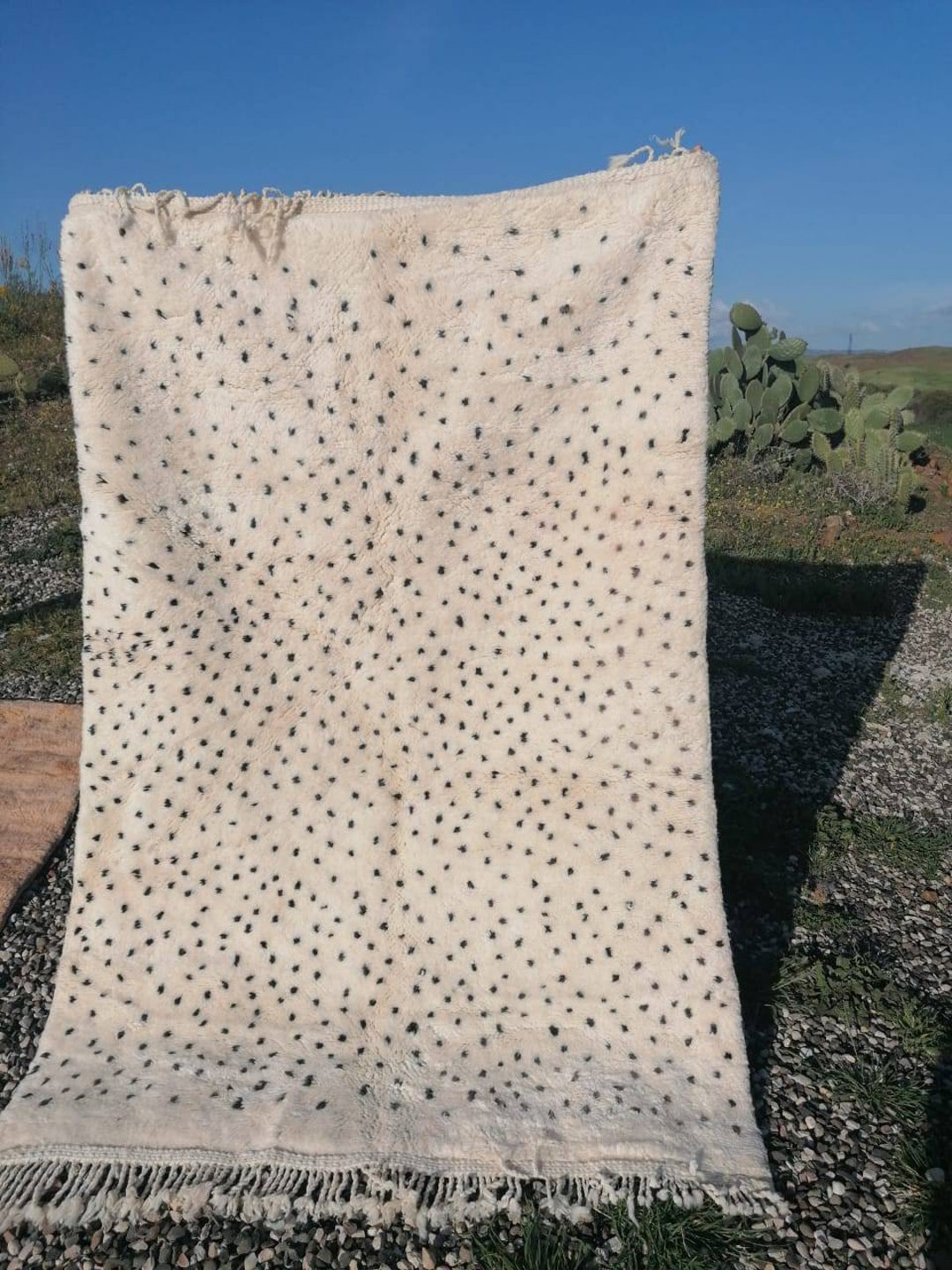 モロッコラグ ベニワレン ブラック 水玉 本日最終値下げ モロッコラグ