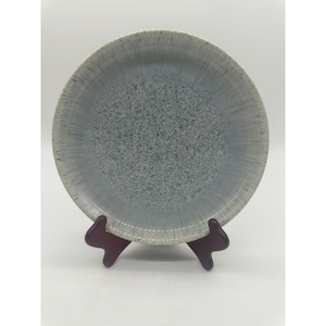 Denby Halo Speckle Coupe Salad Plate 10 Round Plate Blue