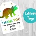 see more listings in the Dinosaur Birthday section