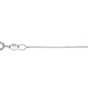 May include: A silver chain necklace with a lobster clasp.