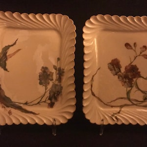 Antique Pair Of Hand Painted Botanical Haviland Limoges Plates, Cabinet Plates, French Haviland Limoges Plates, Antique French Plates