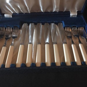 Può includere: Un set di coltelli e forchette d'argento con manici in avorio in una custodia in velluto blu.