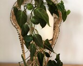 Vintage Rattan Mini Peacock chair- Plant stand- small size