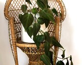 Vintage Rattan Mini Peacock chair- Plant stand or Doll chair- LARGE