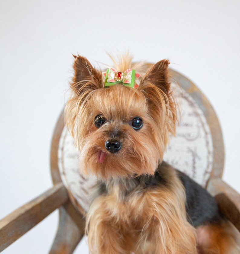 Süße Hund Schleife. Rot grün weiß karierten Glitter auf Etsy