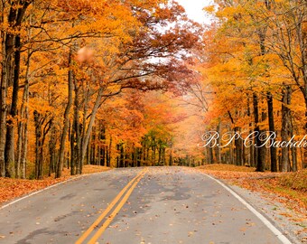 fall autumn background backdrop backlight sunset etsy