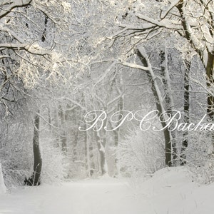 Christmas digital backdrop / Winter background / Snow / Snowy forest / Instant download / Photography backdrop