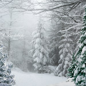 Winter Wonderland Backdrop, Portrait, Christmas Photography Backdrop, Winter Background, Snow Backdrop, Fir Tree, Digital Download