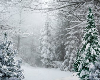 FiVan 8x8ft Snow Forest Backdrop for Christmas Party Decor Winter Snowfield Photo Background LivingRoom Wall Decoration XT-4866 FiVan 8x8ft Snow Forest Backdrop for Christmas Party Decor Winter Snowfield Photo Background LivingRoom Wall Decoration XT-4866