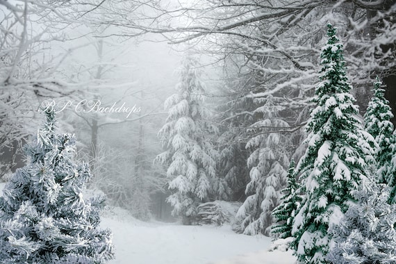 Winter wonderland pictures deals