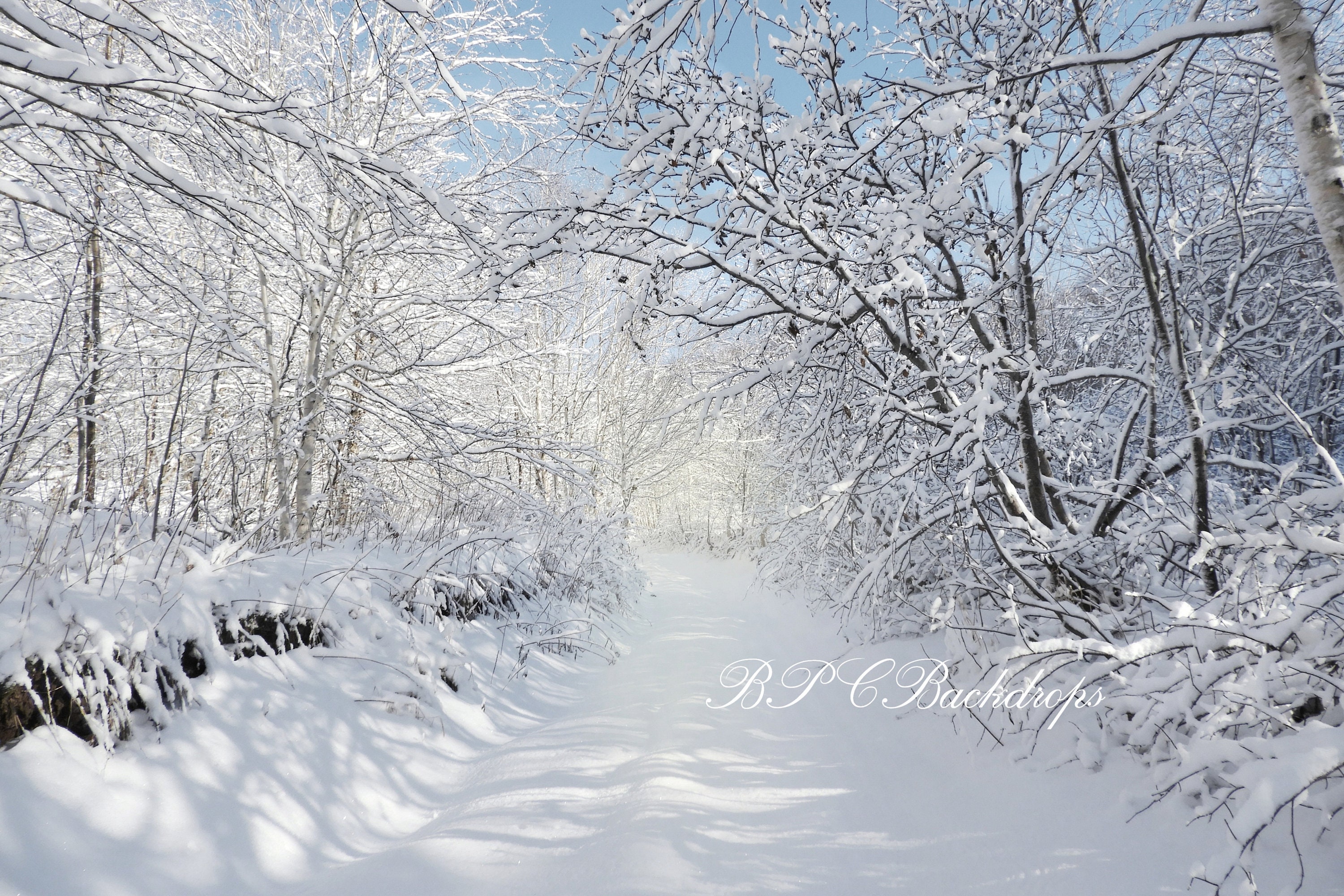 free zoom backgrounds for winter free zoom backgrounds for winter