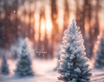 Winter Wonderland Backdrop, Christmas Photography Backdrop, Forest Path