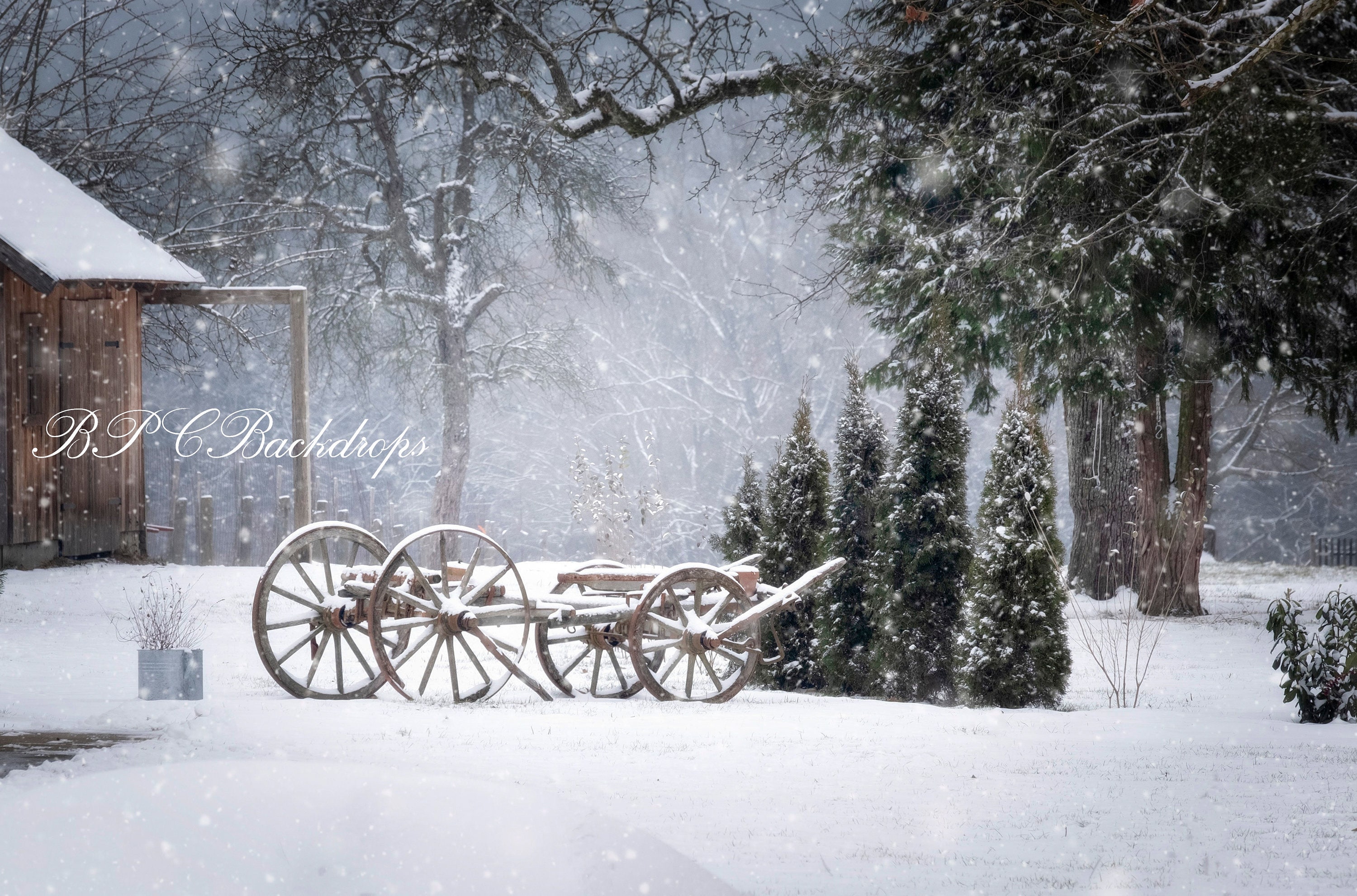 winter wonderland photography