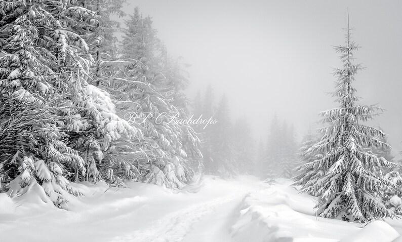 Portrait Digital Download Fir Tree Winter Wonderland Backdrop Snow Backdrop Photography Backdrop Winter Background