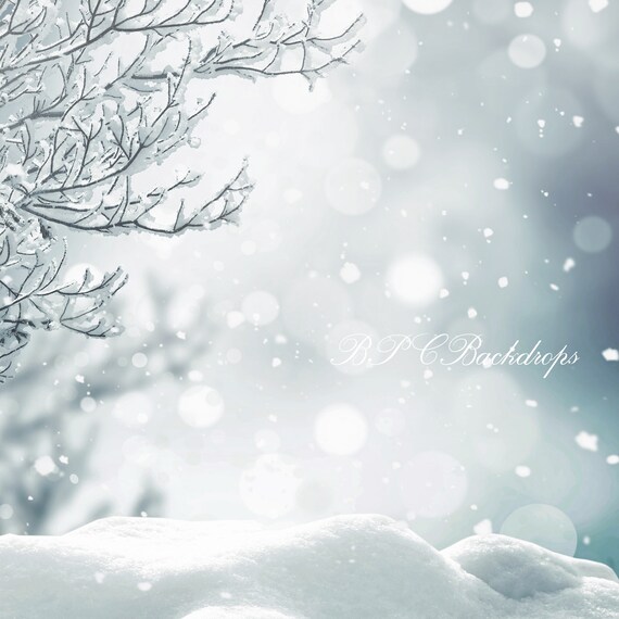 Winter Wonderland Backdrop Portrait Backdrop Winter Etsy Singapore