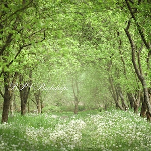 Spring, Summer Digital Backdrop, Flowers, Forest